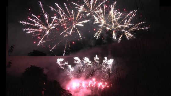 Fogos de artifício Liuyang 1.3g Un0335 Fogos de artifício 56 tiros Fogos de artifício de exibição profissional 1.3g Para celebração do festival