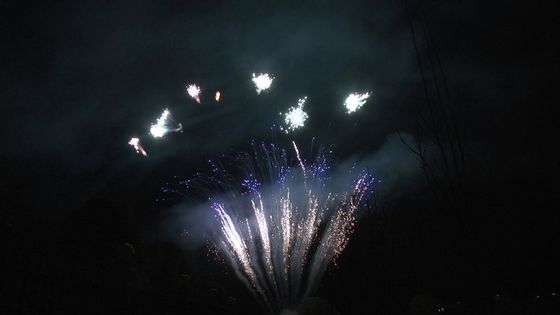 O mandarino indica 90 tiros sauda fogos de artifício profissionais do bolo da pirotecnia para o partido