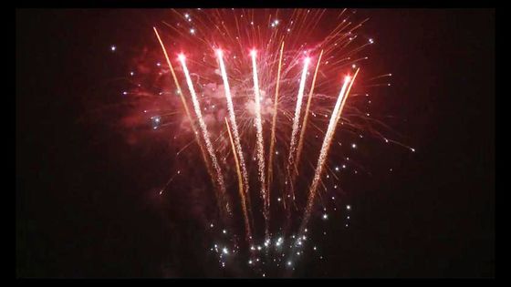 98 fogos de artifício pirotécnicos do bolo do consumidor do Petard do ano novo dos tiros personalizaram