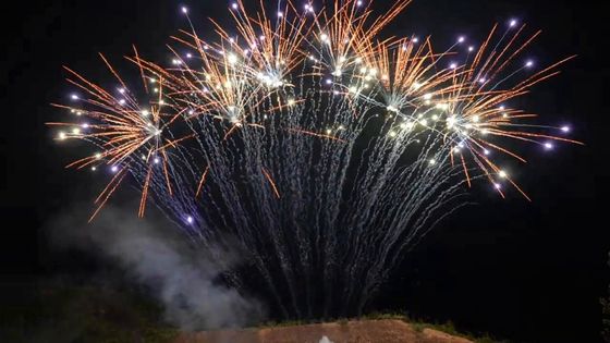 Pirotecnia do mandarino 1.3g 13 fogos de artifício profissionais da fileira dos tiros únicos