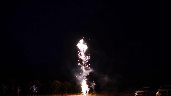 O cuspe da pirotecnia 49s da caixa dos blocos da família das variedades dos fogos de artifício perla fogos de artifício