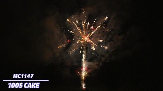 Liuyang especial efetua a pirotecnia profissional dos fogos de artifício do bolo 100 tiros