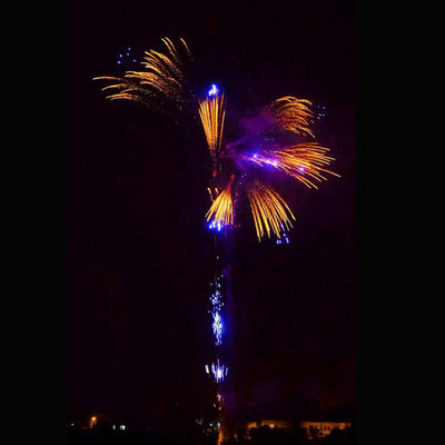 352 tiros personalizaram fogos de artifício que do ano novo os grandes foguetes pirotécnicos endurecem foguetes para a celebração