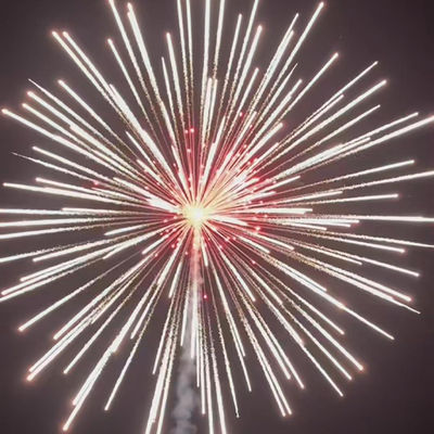 Fogos de artifício profissionais chineses para a celebração do Ano Novo