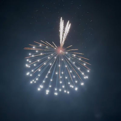 Fábrica Chinesa 6'' Exposição Profissional Fogos de Artifício Shell Produtos pirotecnicos 1.3g Un0335 Produtos pirotecnicos
