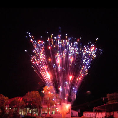 Fogos de artifício pirotecnia fábrica chinesa 1,2 polegadas 24 tiros bolo fogos de artifício para celebração 1,4g Un0336 pirotecnia