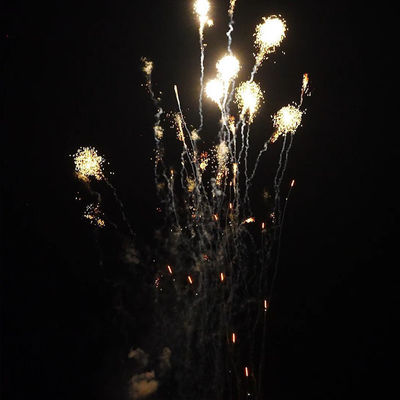 China 1.4 Pro Line Fogos de Artifício Mandarim 210 tiros 1000g bolo pirotecnia para o mercado americano