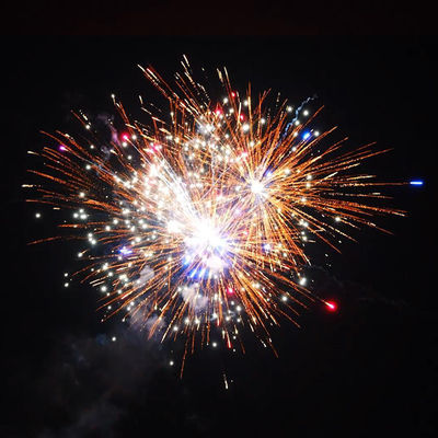 1.4 Pro Line Fogos de artifício 1000g 226 Shots Saudações bolo pirotecnia para o Natal e celebração de casamento