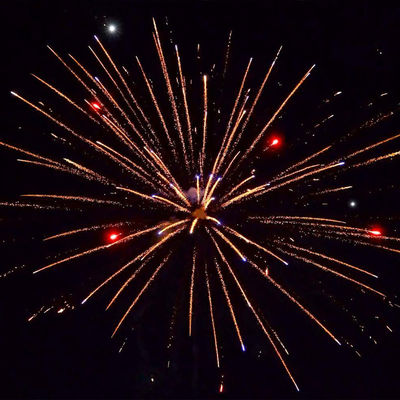 500g 12 tiros bolo de Ano Novo Fogos de artifício chinês por atacado exportação pirotecnia para a celebração do casamento