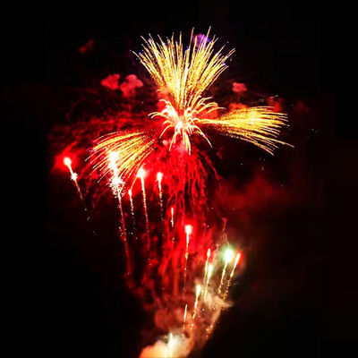 Personalizado 178 tiros pirotecnia 1.4G bolo fogos de artifício para a celebração do ano 2025 em Liuyang Mandarim