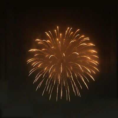 Liuyang Alta Qualidade 1.3G Morteiros Profissionais Display pirotecnico Artilharia Golosas Fogos de Artifício Para Venda Fogos de Artifício Concha