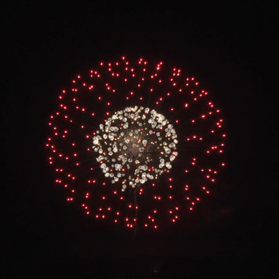 Fogos de artifício profissionais de Ano Novo 1.3g 2
