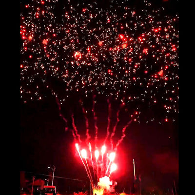 Fogos de Artifício Liuyang Suprimentos Mandarim Novos Fogos de Artifício Quentes 56 Tiros Saudação Baterias de Bolo ao Ar Livre Fogos de Artifício de Ameixa Vermelha Pirotecnia