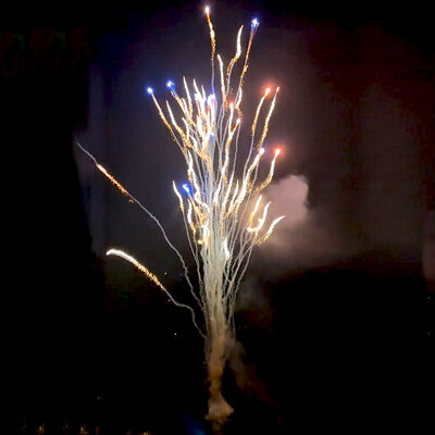 Fábrica Chinesa Custom 100 Shots Lobo Uivando Bolo Fogos de Artifício Pequena Pirotécnica Fogos de Artifício Novos Para Ano Novo Celebração de casamento de Natal