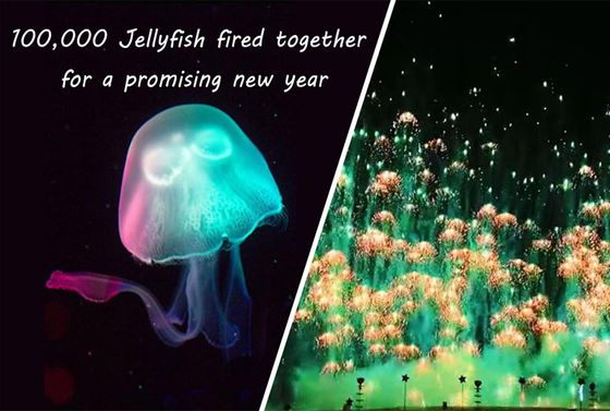 Fogos de artifício Skyshots de Toy Firework Jellyfish Consumer Novelty do ano novo pirotécnico