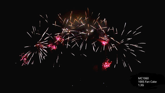 Fogos de artifício profissionais do bolo da saudação da pirotecnia 100 tiros
