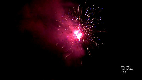 Fogos de artifício profissionais da pirotecnia dos tiros do OEM 100