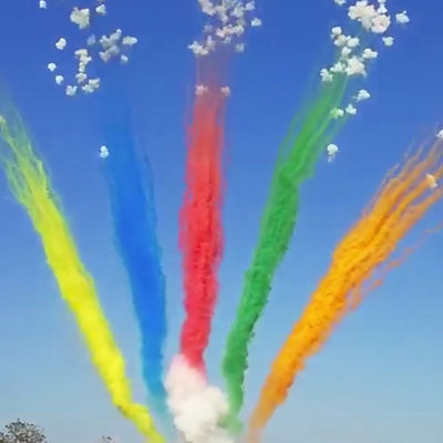 Fogos de artifício feitos sob encomenda do bolo da saudação do dia da pirotecnia do mandarino 49 tiros